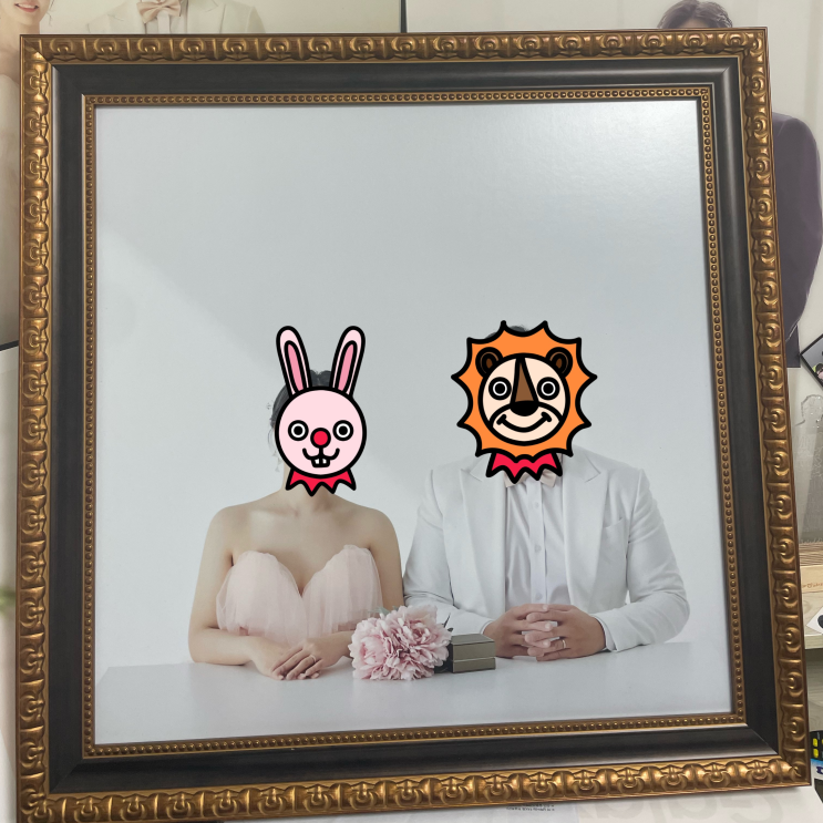  [결혼기록] 바시움 셀렉 후 결국 사설보정업체 이용한 이야기,,,