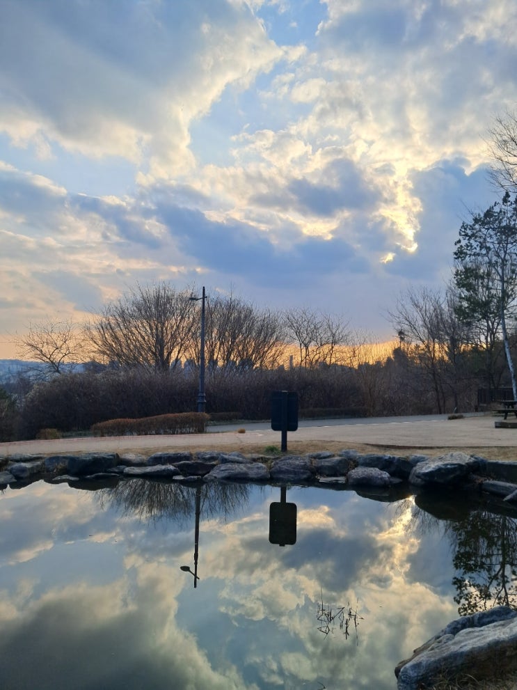 용산 갈만한곳_ 남산 야외식물원 반려견 산책하기 좋은 공원 용산 갈만한곳_ 남산 야외식물원 반려견 산책하기 좋은 공원