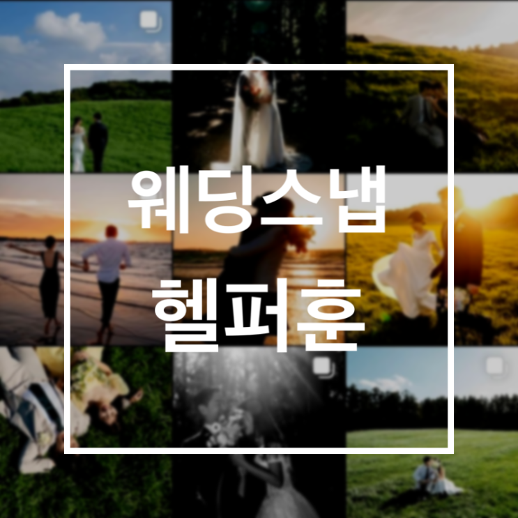  제주스냅_헬퍼훈 풀패키지 계약후기(with.라르아,홀스테일러)