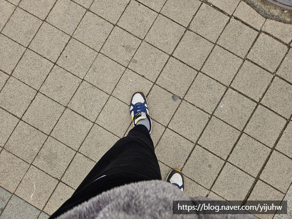 걷기운동 다이어트 네이버 만보기 사용하고 포인트 받는법