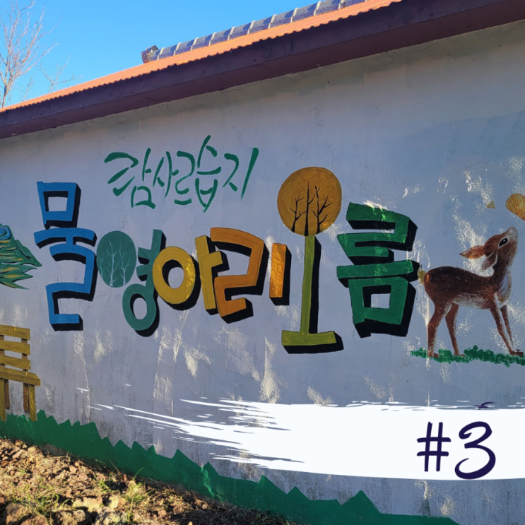  제주 남쪽 오름 람사르습지 제주 물영아리 오름 사진 정보 제주도 물영아리오름 주차 및 소요시간 정보 제주 남원 오름