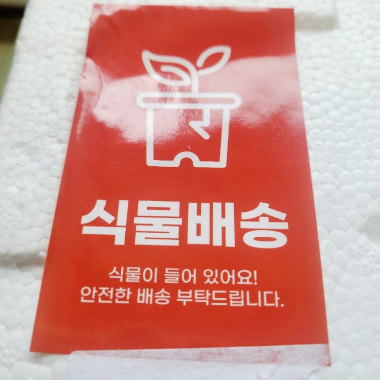  택배스티커 파손주의 취급주의 안전한 식물 배송
