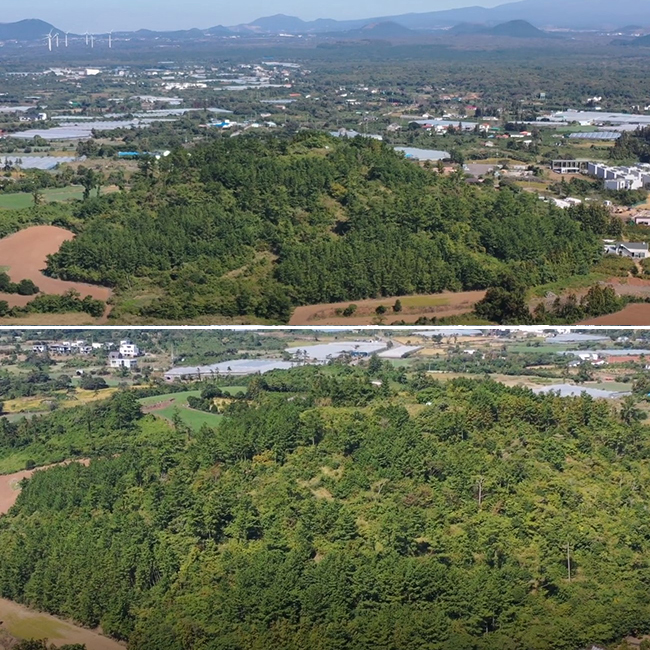  제주 쉬운오름, 가마오름 등반 정보