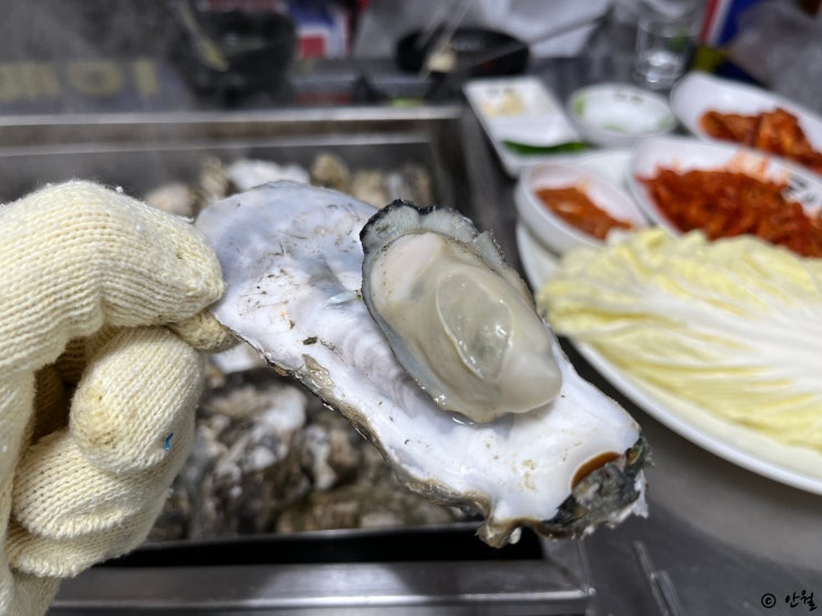  [중곡동] 굴이짱 | 푸짐한 굴찜 (석화찜) 굴의 천국