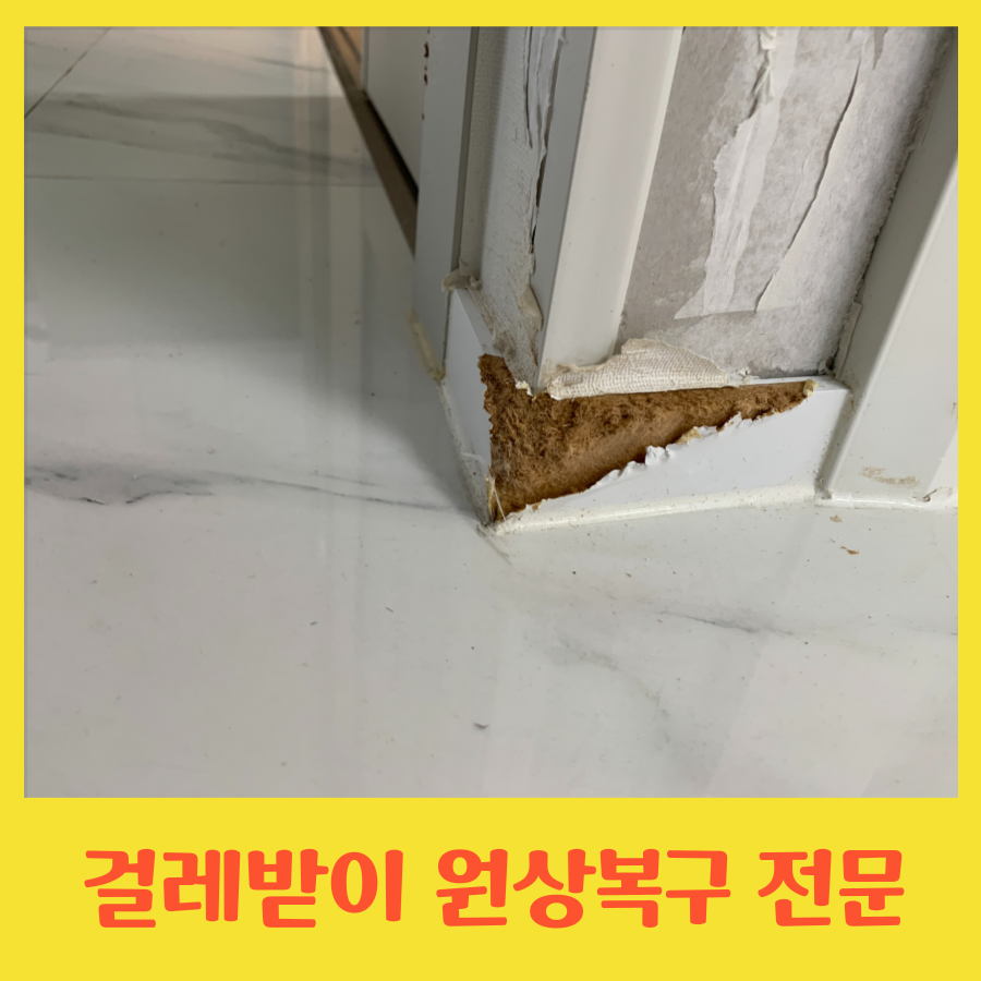 이사전 걸레받이 몰딩 원상복구 전문 업체