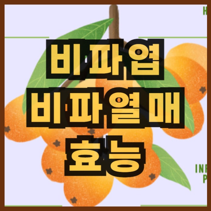  비파잎, 비파열매 효능 및 잘맞는 체질