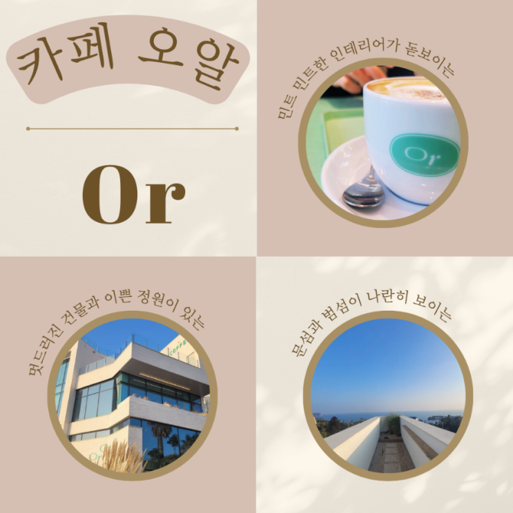  제주 오알, 푸른 바다가 펼쳐지는 서귀포 오션뷰 카페 제주 남쪽 카페