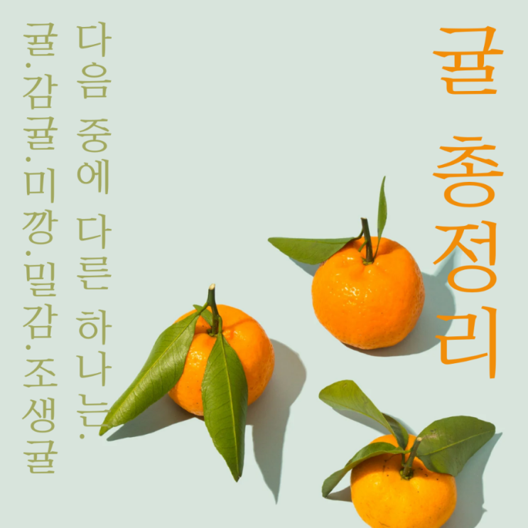  다음 중 다른 하나는 무엇일까요? 귤, 밀감, 미깡, 감귤, 조생귤
