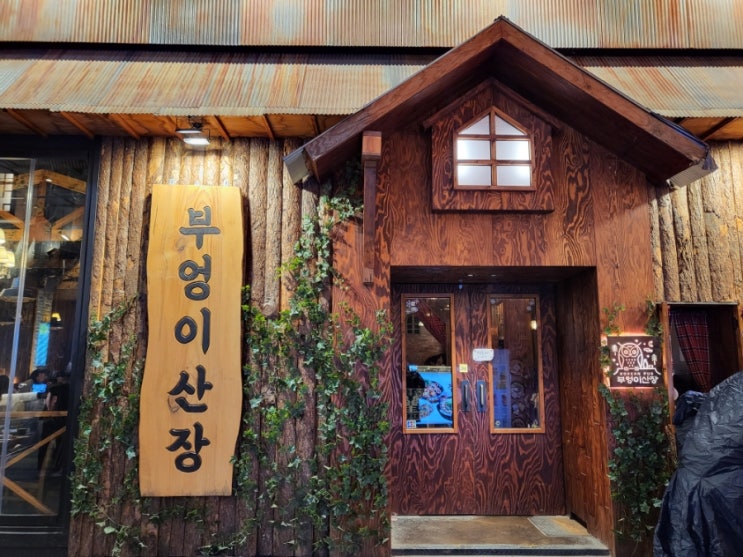  [부엉이산장 건대점] 외관 귀여운 술집에서 곱도리탕 + 2차 건대 포장마차