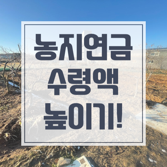  농지연금 감정평가, 연금 수령액 이렇게 하면 높아집니다!