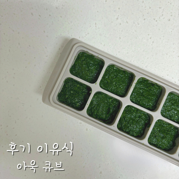  [후기이유식] 소고기와 궁합이 좋은 아욱 큐브 만들기