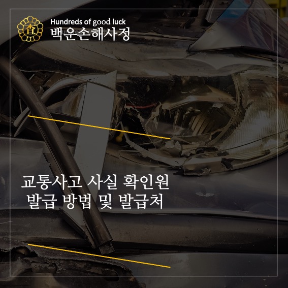  교통사고 사실 확인원 발급 방법 및 발급처