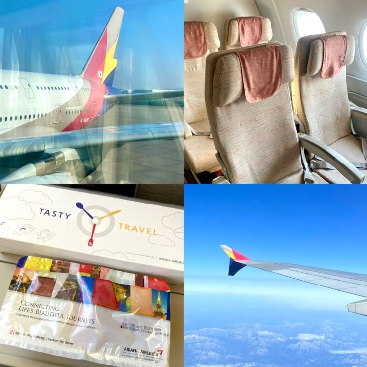  일본/도쿄 [아시아나 A380] 2층 듀오석 탑승 및 예약 꿀팁 + 기내식 후기 ! ️