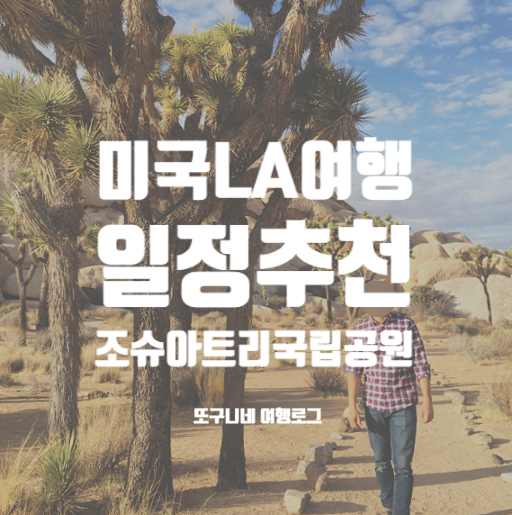  LA 엘에이 자유 여행 일정 추천! 조슈아 트리 국립공원
