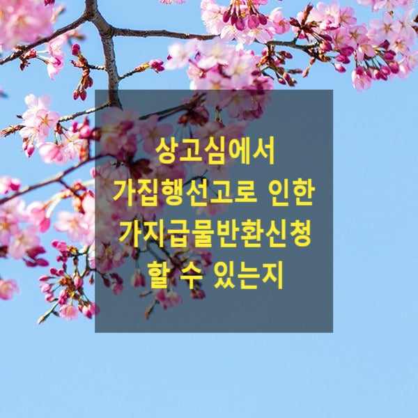  상고심에서 가집행선고로 인한 가지급물반환신청을 할 수 있는지