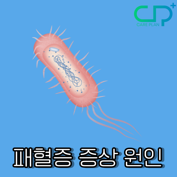  패혈증 증상 원인 : 비브리오,급성 패혈증 증상 원인