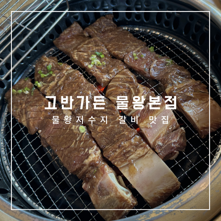  물왕저수지 갈비 맛집, 고반가든 물왕본점 예약 방문 후기(내돈내산)