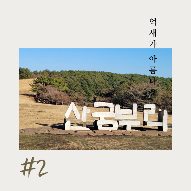  억세밭 산굼부리 제주 동쪽 오름 제주도 부모님과 가볼만한 곳. 제주 부모님 여행