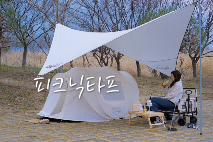  피크닉 타프 미티어소원 스카이필드 캠핑타프 추천