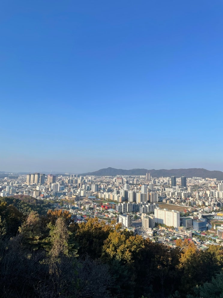  대전 보문산 전망대 산책로 나들이