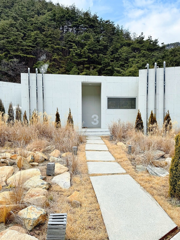  경북 청도 애견펜션 루오스테이 강아지 수영장 풀빌라 독채 수월 3호