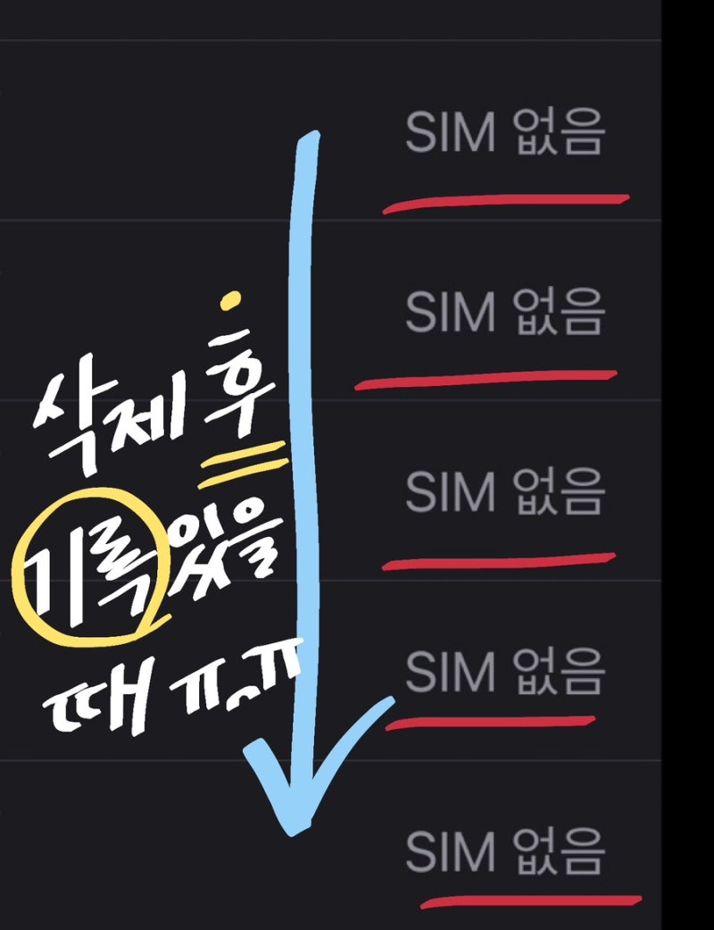 아이폰 이심 삭제, 일본 태국 여행 후 esim 지우기 안 될 때 (SIM없음) / 제거 시 주의사항