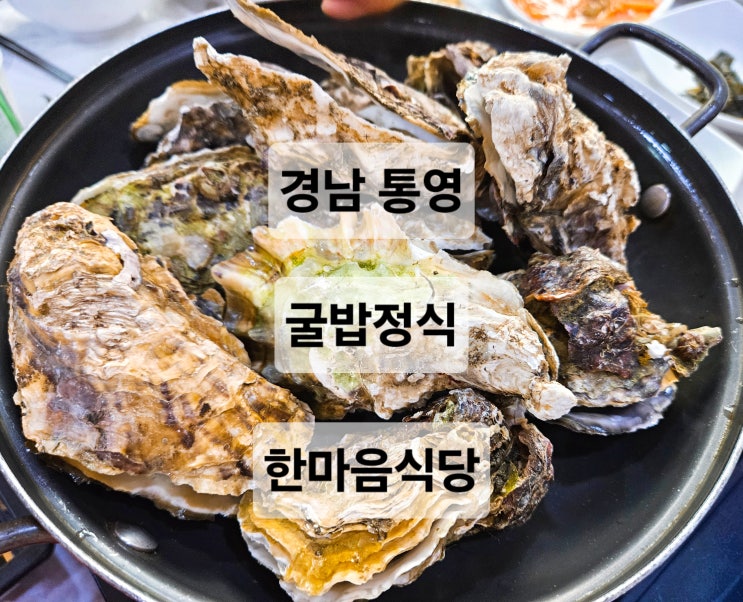  경남 통영 통영여행에서 다양하고 싱싱한 굴요리를 먹을 수 있는 굴정식 맛집  한마음식당