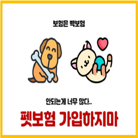 강아지 고양이 펫보험 가입 비교 추천하지 않는 이유