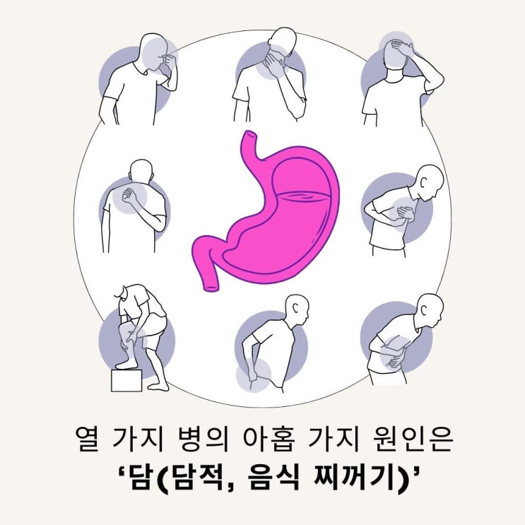  십병구담: 열 가지 병의 아홉 가지 원인은 '위장(담적)'입니다. 감일위담소화기한의원 조민경 경희한의원