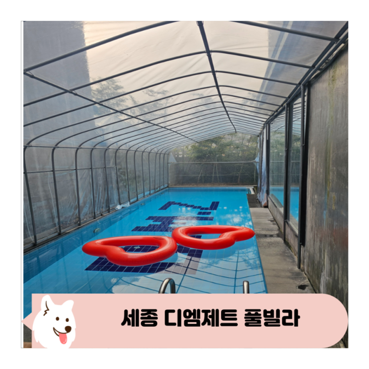  아이와 청주 근교 세종풀빌라 사계절 미온수와 자쿠지가 있는 디엠제트 풀빌라