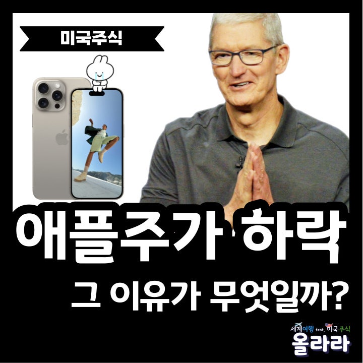  애플 목표주가 전망 하락 이유