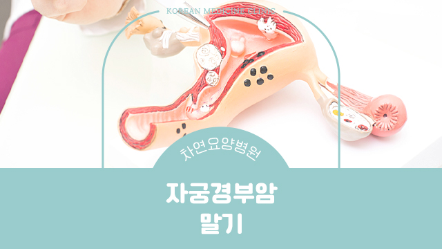 자궁경부암 말기 증상과 예방법은