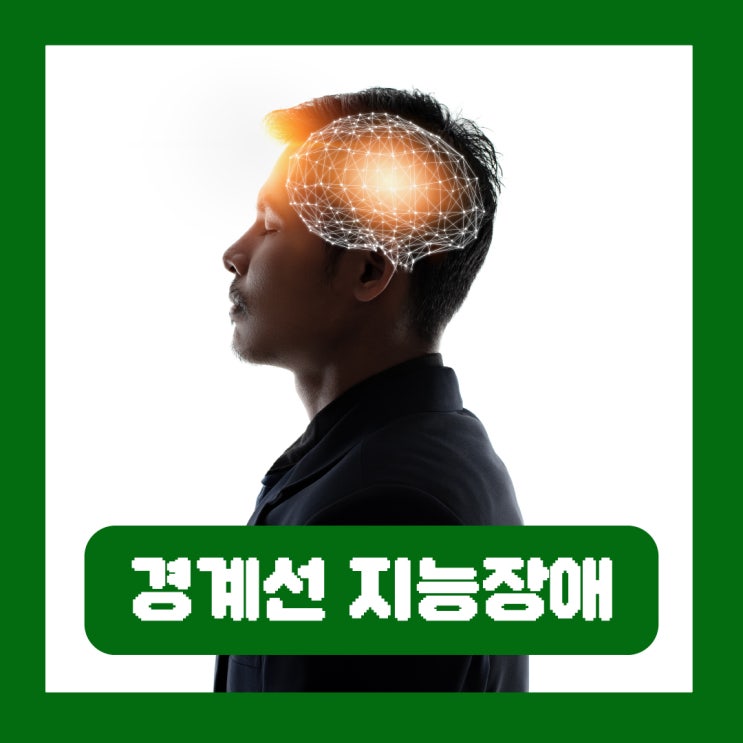  경계선 지능 장애 뜻 원인 성인 특징 테스트