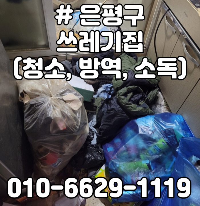  은평구 쓰레기집 (청소, 방역, 소독)