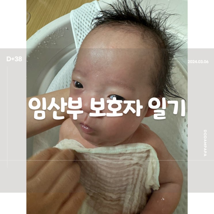 2024.03.06 임산부 보호자 일기 D+38일 2024.03.06 임산부 보호자 일기 D+38일