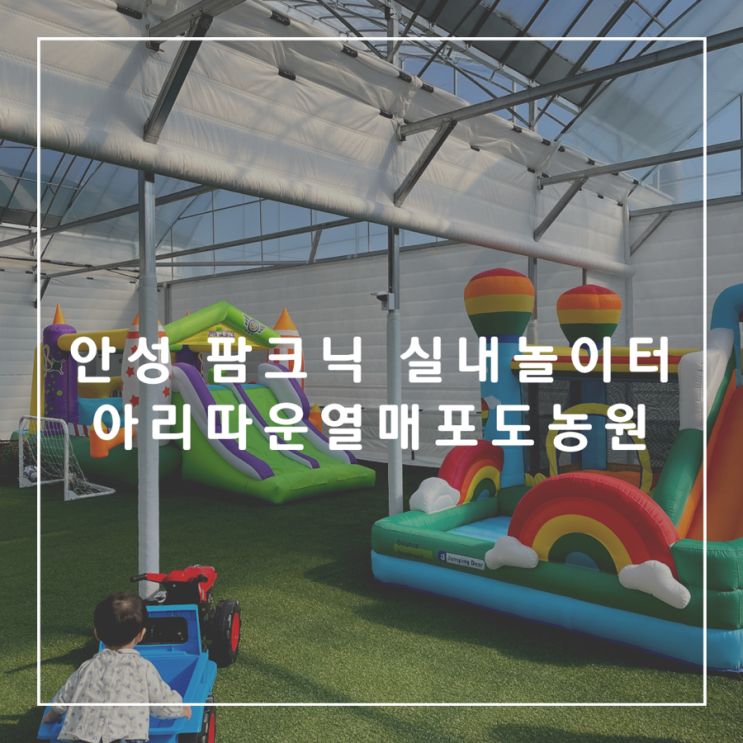  [경기도 안성] 용인 근교 :: 25개월 아이와 놀러 갈만한 곳, 팜크닉, 안성 실내놀이터, 아리따운열매포도농원