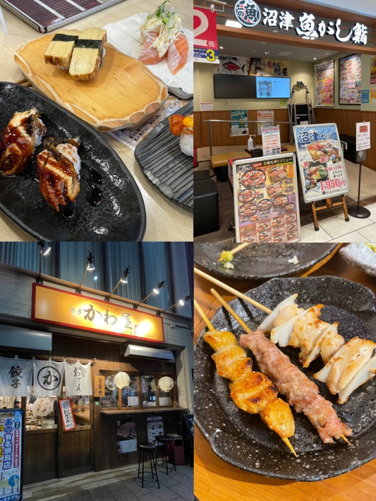  [시즈오카 여행] 시즈오카역 스시 맛집 누마즈 우오가시 / 이자카야 하카타 카와야