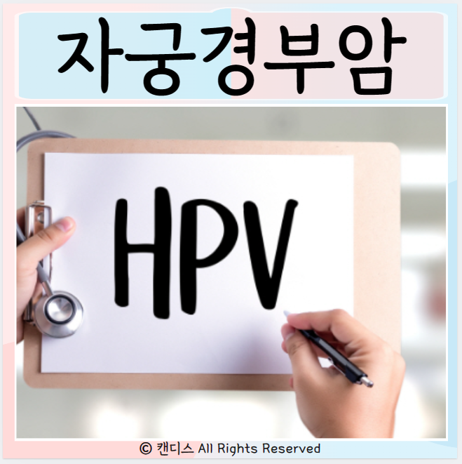 자궁경부암 원인 증상 예방법 검진 백신