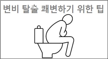  변비 탈출 쾌변하기 위한 팁 이것을 기억해
