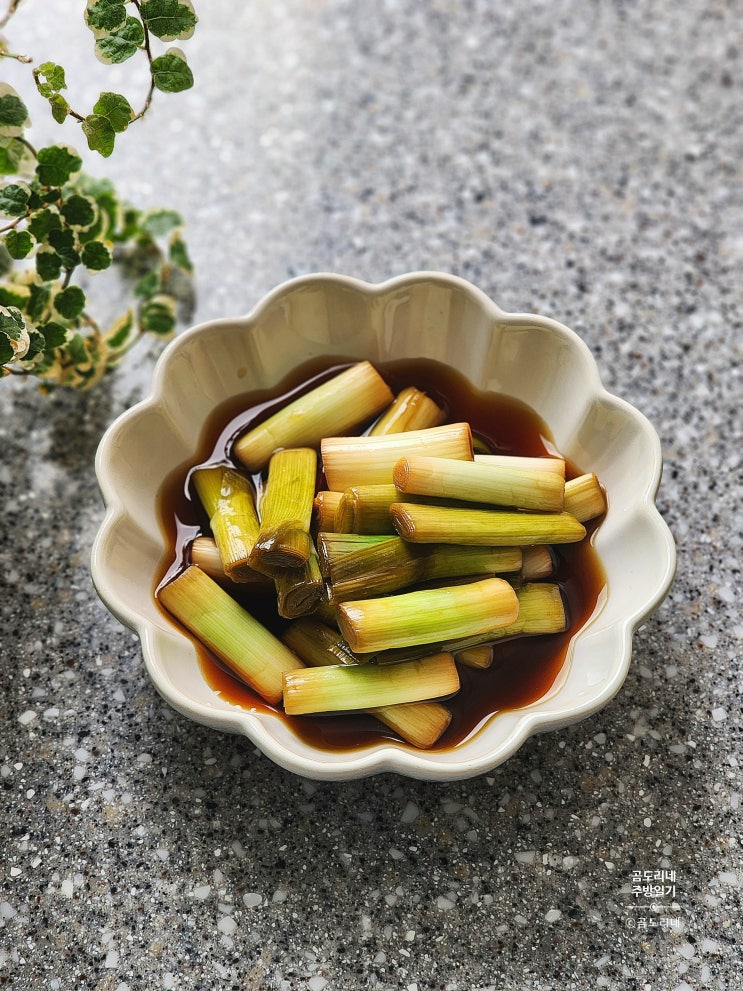  풋마늘장아찌 담그는법 간장비율 봄나물 마늘대장아찌 요리