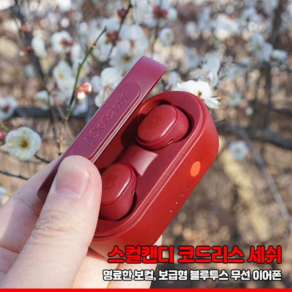  스컬캔디 세쉬 - 명료한 보컬, 보급형 블루투스 무선 이어폰