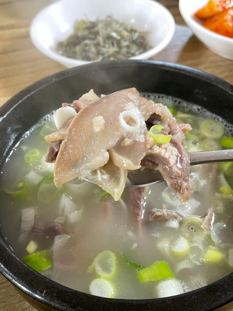  강릉여행 주문진 맛집 추천 진한 국물이 맛있는 철뚝소머리집 재방문 후기