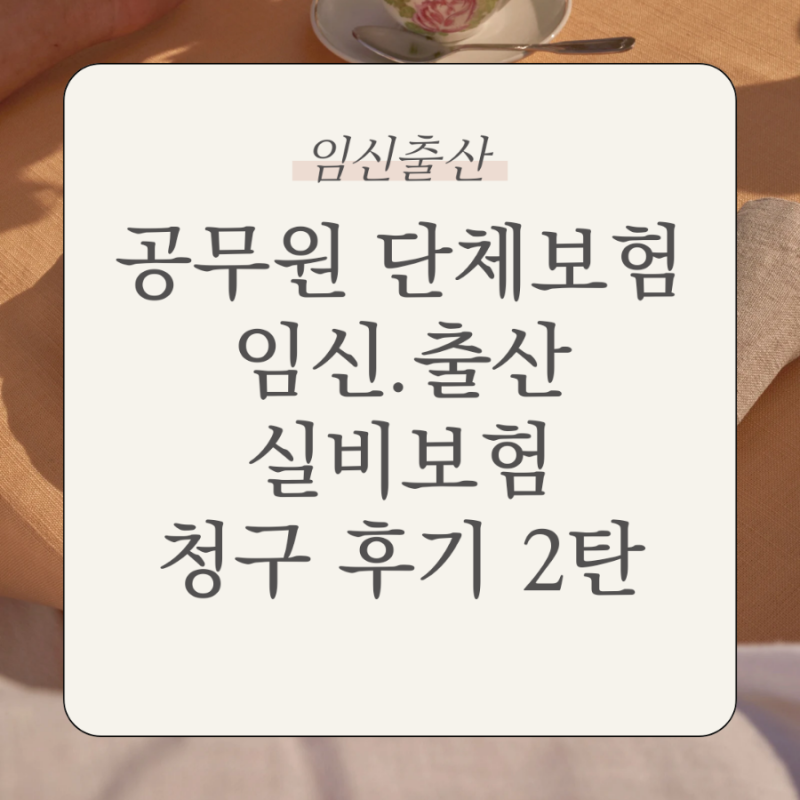 공무원 맞춤형복지 단체보험 현대해상 임신 실비 보험 유도분만 출산 청구 후기 2