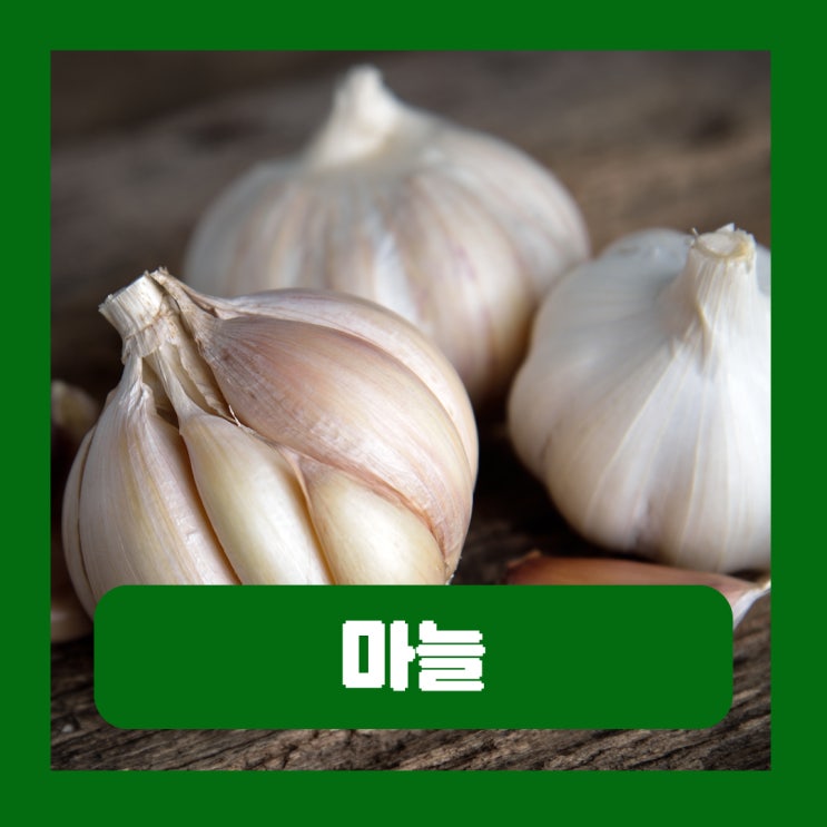  삶은 마늘 효능 생마늘 차이점 썰어먹어야 하는 이유