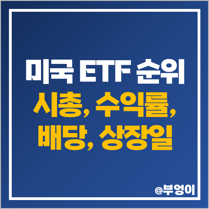 미국 ETF 순위 시가총액 올해 수익률 배당수익률 상장일 미국 ETF 순위 시가총액 올해 수익률 배당수익률 상장일