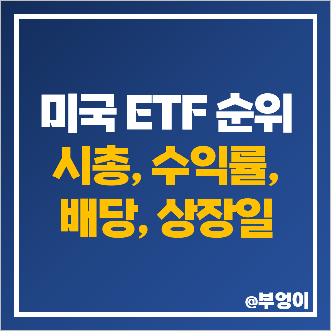 미국 ETF 순위 시가총액 올해 수익률 배당수익률 상장일