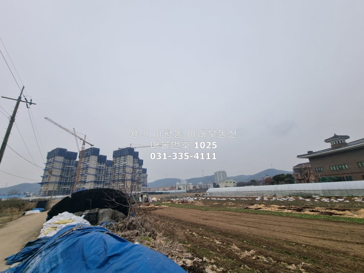  투자 가치 높은 양지IC 인근 용인 양지면 남곡리 토지 매매