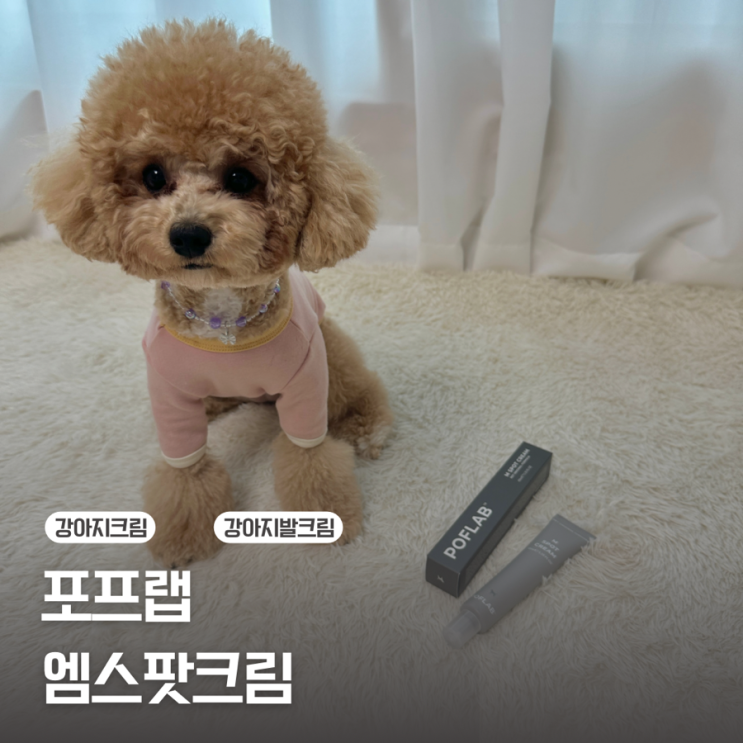  [강아지스킨케어] 강아지 발 보습제 / 포프랩 엠스팟크림