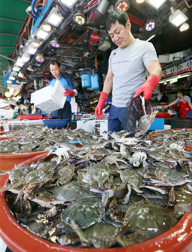 37만원” <b>소래포구</b> 어시장 점검 결과…저울 <b>눈속임</b> 9곳 적발
