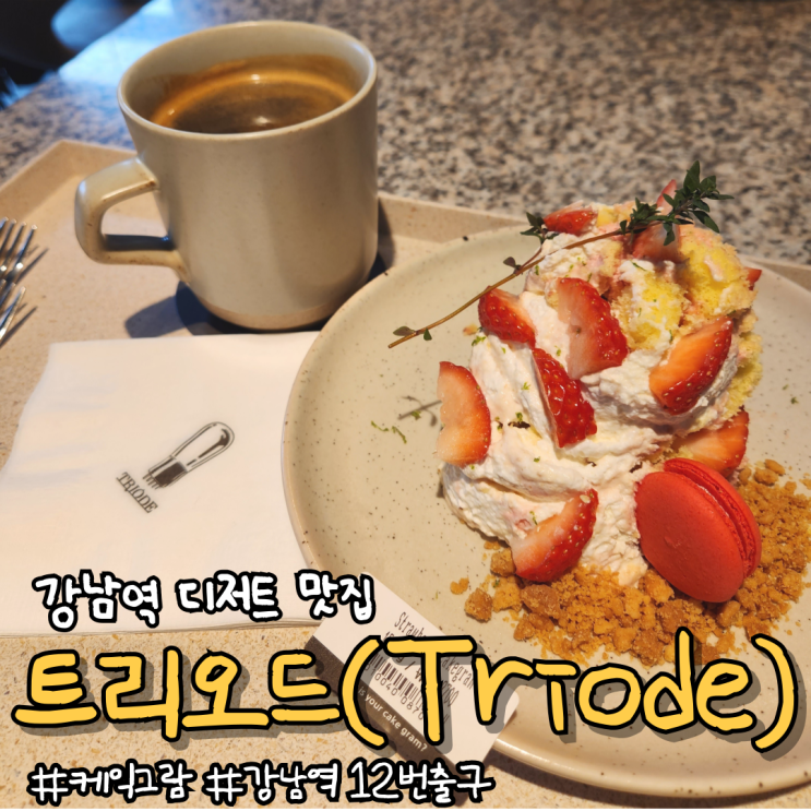 [서울 강남역] 그램으로 주문하는 케이크, 카페 트리오드(TRIODE)